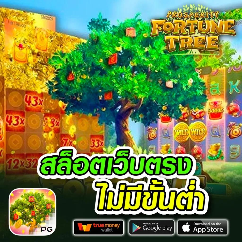 superpg1688 play คาสิโนครบวงจร ระบบทันสมัย พร้อมโปรโมชั่นสุดคุ้ม