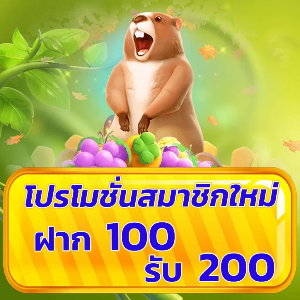 ทางเข้าโจ๊กเกอร์ ศูนย์รวมความมันส์ ครบทุกการเดิมพันออนไลน์