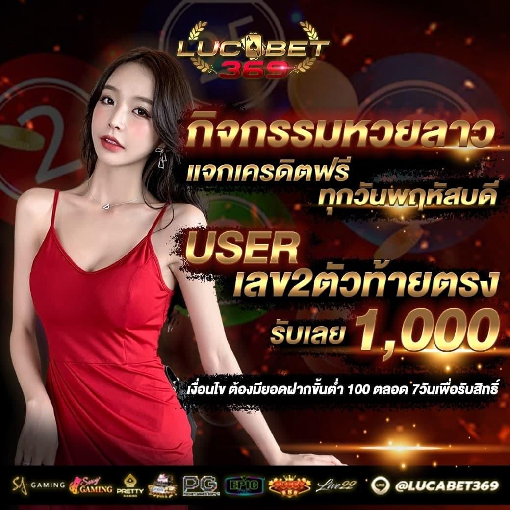 ผลบอลเมื่อคืน เว็บตรง รวมสถิติอัปเดตทุกแมตช์ได้ทันที