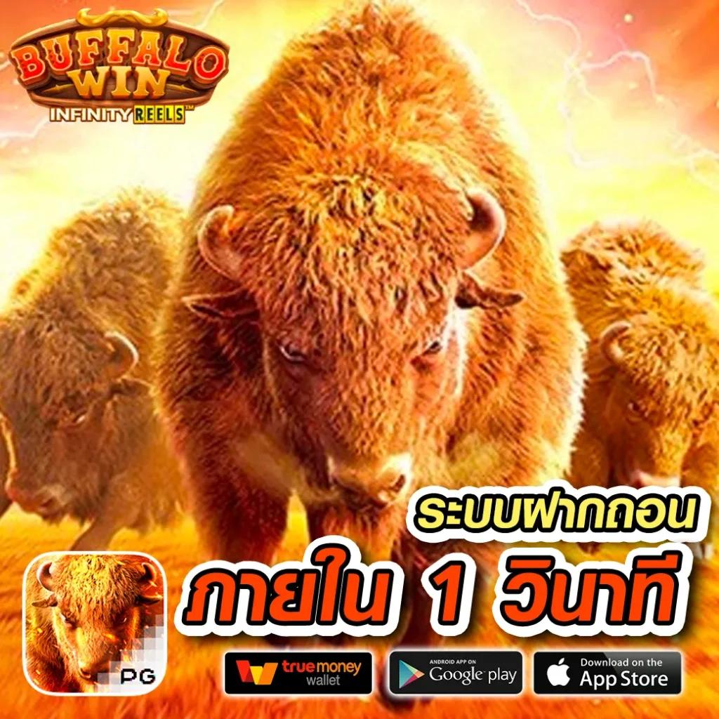 เล่นคาสิโนออนไลน์ครบถ้วนที่ hotstar168vip พร้อมโปรโมชั่นสุดฮอตในไทย