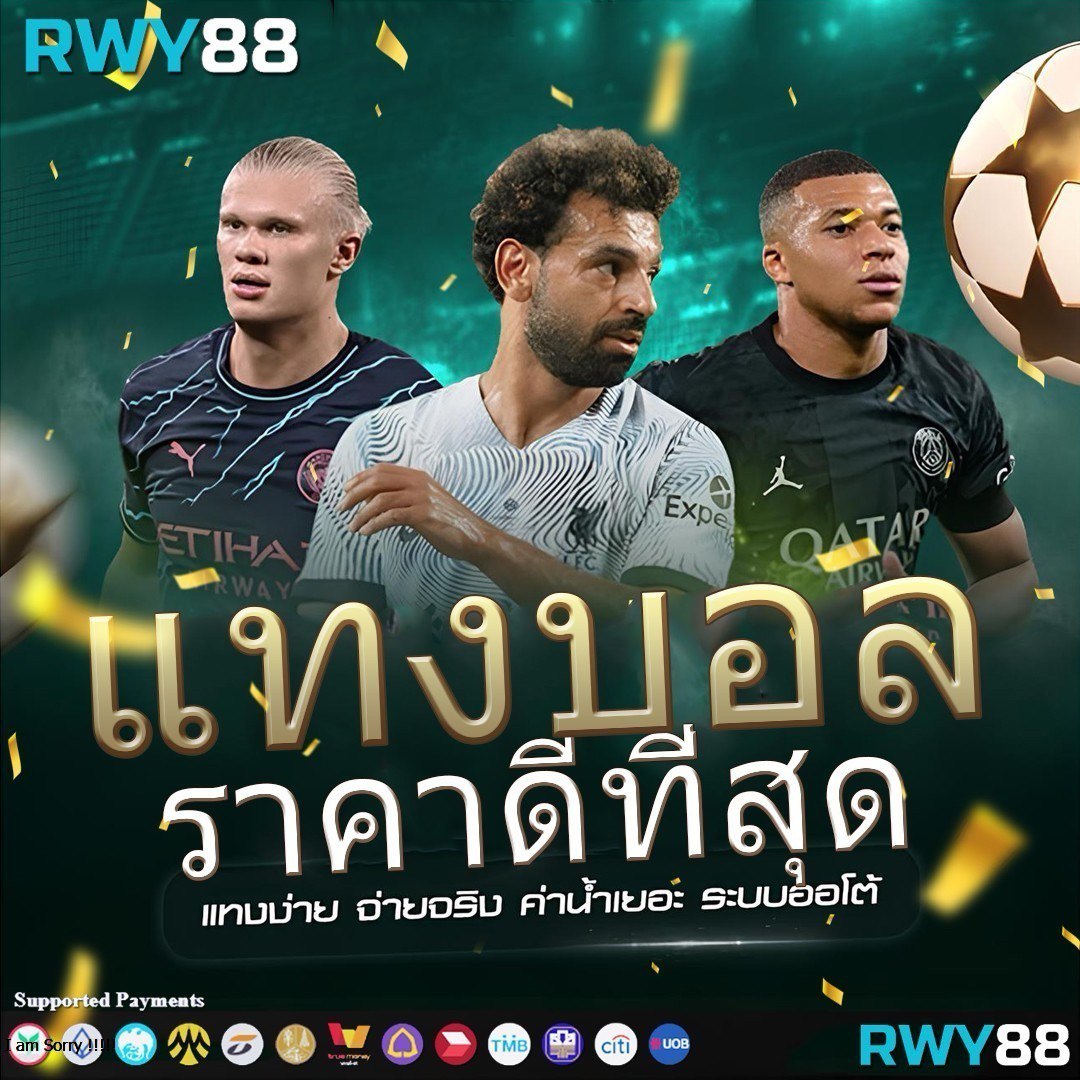 แมว888 คาสิโนแนวใหม่ เว็บตรงแตกง่าย มั่นคง เล่นง่ายทุกวัน